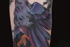 Un tatuaje vibrante neo-tradicional de un cuervo o grajo con el pico abierto, como si estuviera gritando. El ave presenta un plumaje rico en tonos morados, azules y rosas, con contornos negros marcados y garras afiladas en color naranja. Todo está representado con un estilo ilustrativo dinámico y muy colorido. Tatuaje color por Agu en Hipno Tattoo Estepona.