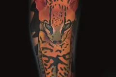 Un tatuaje vibrante neo-tradicional en el antebrazo que muestra un retrato detallado de una cría de jaguar caminando hacia adelante. El diseño presenta un pelaje cálido en tonos naranja y rojo con rosetas negras bien definidas; en las patas contrasta con sombreado frío en azules y morados. Todo está delimitado por contornos negros marcados. Tatuaje color por Agu en Hipno Tattoo Estepona.