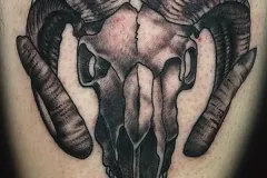 Un tatuaje detallado en negro y gris de un cráneo de carnero, con cuernos grandes y curvados en forma de arco, y sombreado intenso para lograr una apariencia de hueso realista y con textura. Tatuaje blackwork por Agu en Hipno Tattoo Estepona.