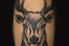 Un tatuaje realista detallado en negro y gris de la cabeza de un ciervo en una pierna. El diseño muestra un venado de frente, con grandes astas ramificadas, con sombreado profundo alrededor de los ojos y el hocico, y texturas de pelo más estilizadas en la base del cuello. Tatuaje blackwork por Agu en Hipno Tattoo Estepona.