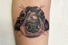 Tatuaje en el antebrazo de la cara de un perro dachsund en estilo blackwork y realismo, con ojos grandes y hocico detallado. Tatuaje realizado por Agu en Hipno Tattoo Estepona.