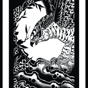 Illustration of a hawk against a full moon.