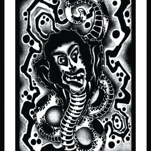 Illustration of a masked snake